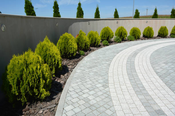 Best Decorative Driveway Pavers  in Southmont, PA